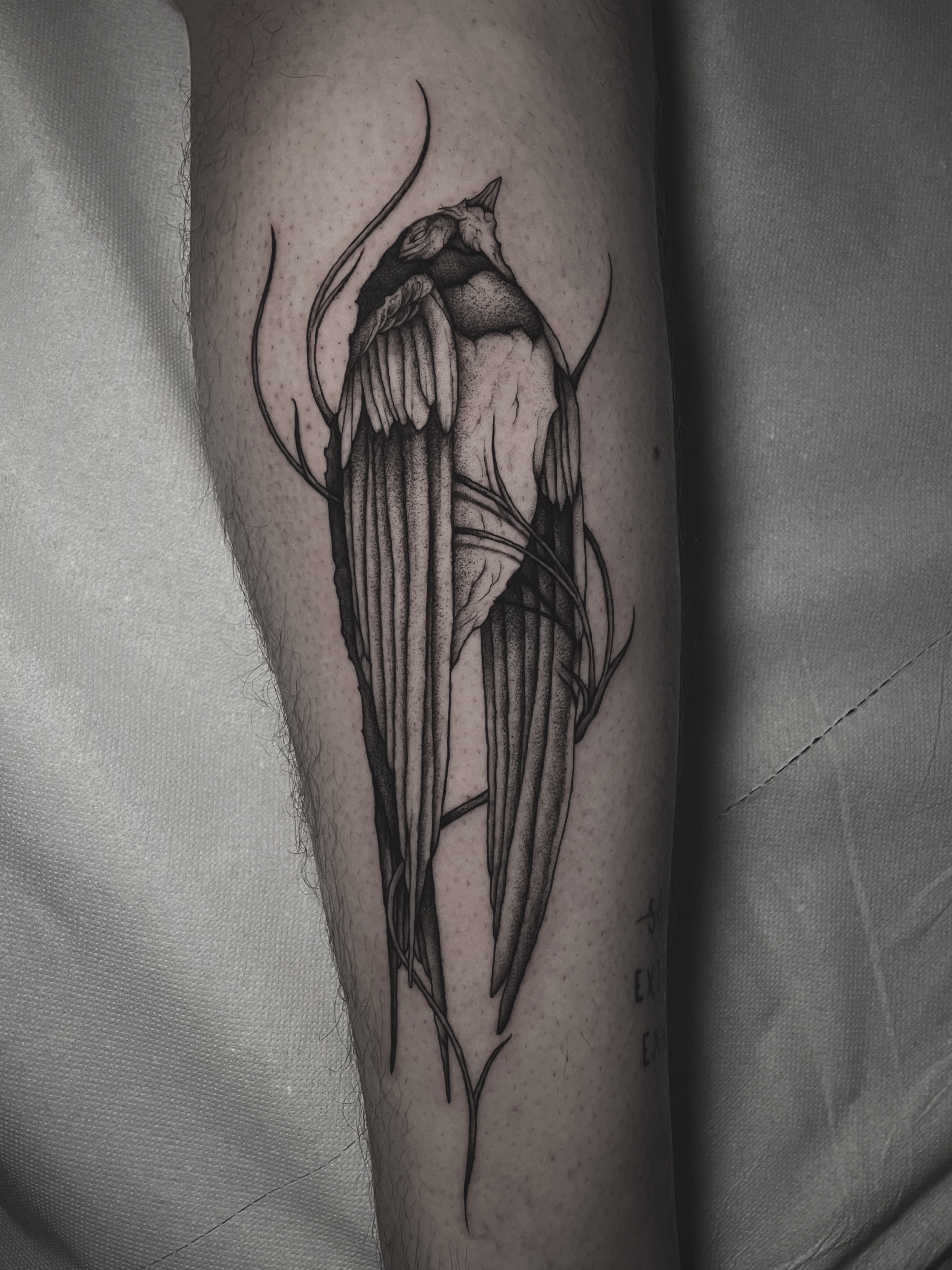 Tattoo by Mattia